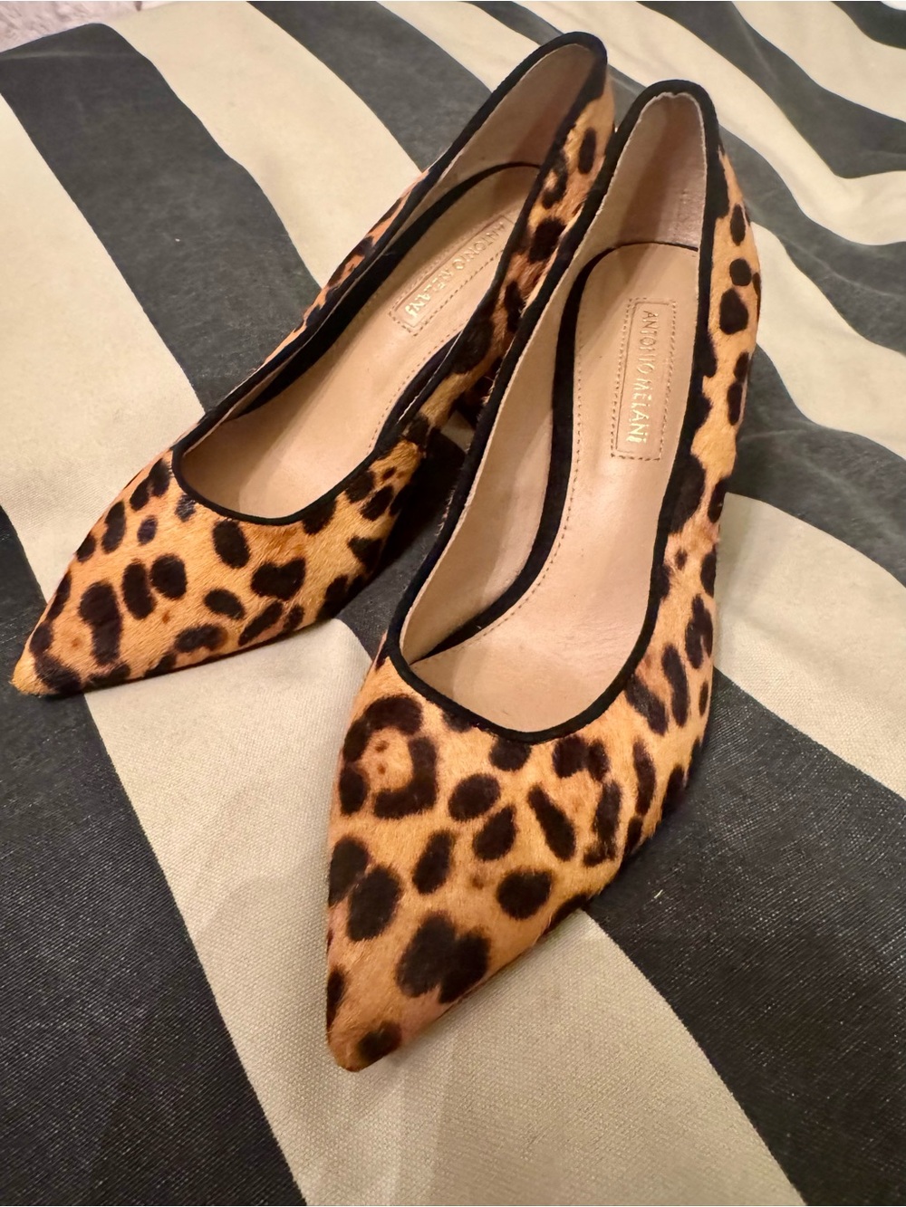 ANTONIO MELANI Leopard Print Pointed Toe Pumps - Brown/Black